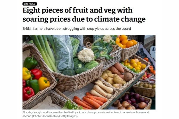 Cost of carrots booms as extreme weather hits harvests